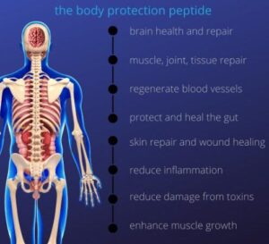 body-protection-peptide
